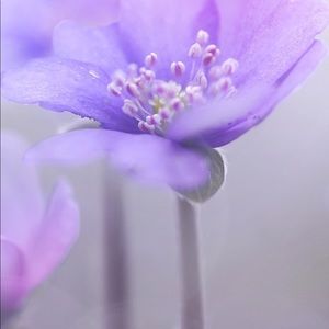 Meet your Posher, May